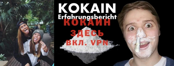 ешки Корсаков