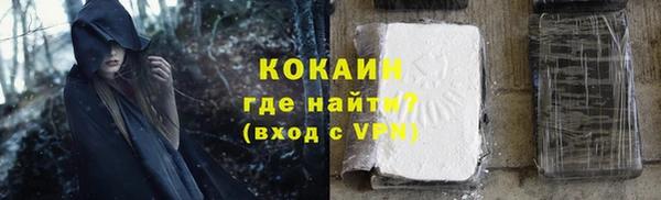 ешки Корсаков