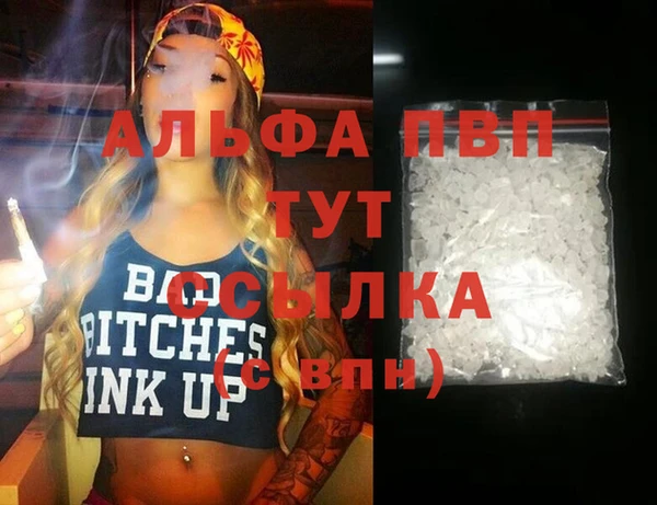 СК Коряжма