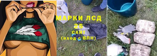 ешки Корсаков