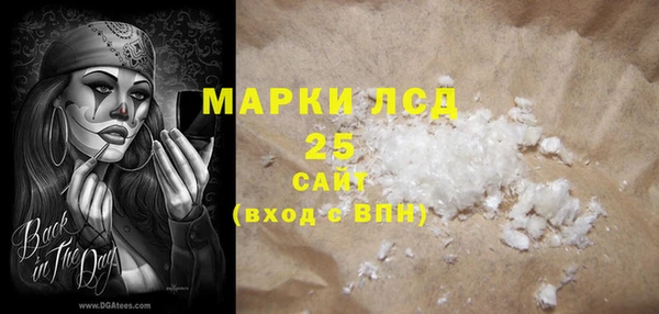 СК Коряжма