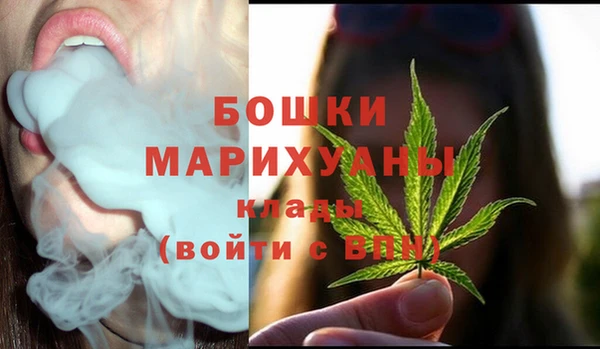 СК Коряжма