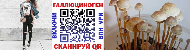Купить закладки  Каменка  Псилоцибиновые грибы Magic Shrooms 